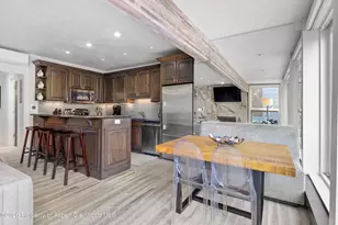 738 S Galena St, Aspen, CO 81611 - Photo 6