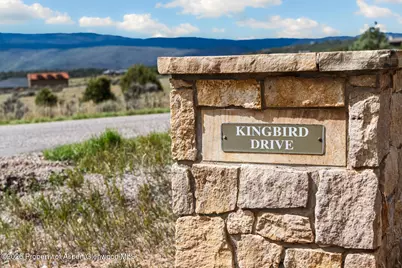 117 Kingbird Drive, Glenwood Springs, CO 81601 - Photo 22