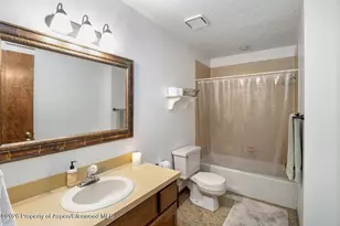 546 Traver Trail, Glenwood Springs, CO 81601 - Photo 14