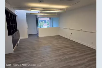 501 E Hyman Avenue #205, Aspen, CO 81611 - Photo 4
