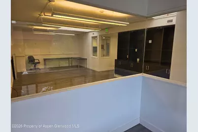 501 E Hyman Avenue #205, Aspen, CO 81611 - Photo 6