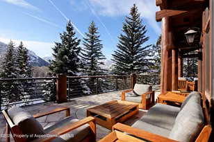 411 Willoughby Way, Aspen, CO 81611 - Photo 28
