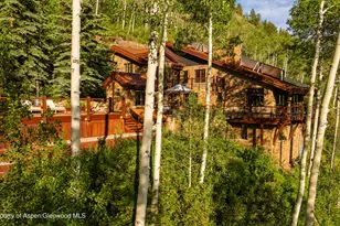 6770 Castle Creek Rd, Aspen, CO 81611 - Photo 56