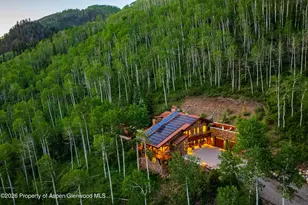 6770 Castle Creek Rd, Aspen, CO 81611 - Photo 64