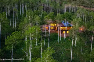 6770 Castle Creek Rd, Aspen, CO 81611 - Photo 72