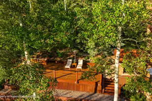 6770 Castle Creek Rd, Aspen, CO 81611 - Photo 84