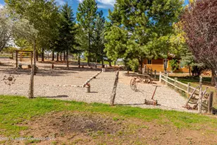 8565 Co Rd 320, Rifle, CO 81650 - Photo 34