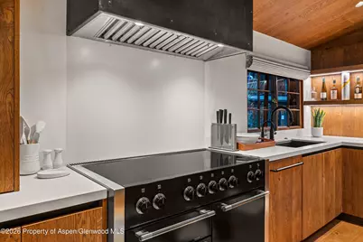312 W Hyman Avenue, Aspen, CO 81611 - Photo 8