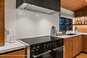 312 W Hyman Ave, Aspen, CO 81611 - Photo 8