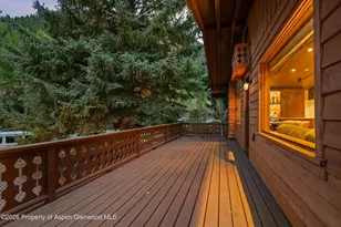 312 W Hyman Ave, Aspen, CO 81611 - Photo 46