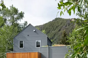1006 E Cooper Ave, Aspen, CO 81611 - Photo 42