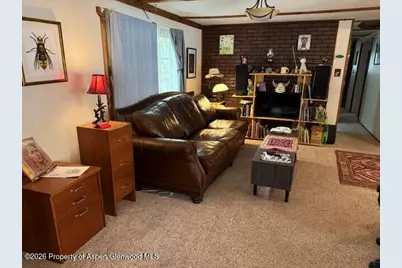 250 County Road 127 #16, Glenwood Springs, CO 81601 - Photo 4
