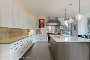 58 Pitkin Way, Aspen, CO 81611 - Photo 10