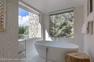 58 Pitkin Way, Aspen, CO 81611 - Photo 16