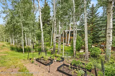 115 Blue Spruce Lane, Snowmass Village, CO 81615 - Photo 30