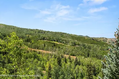 824 Pine Crest Lane, Snowmass Village, CO 81615 - Photo 36