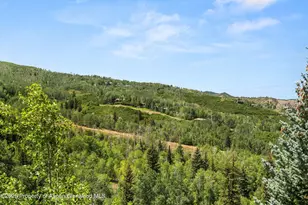 824 Pine Crest Ln, Snowmass Village, CO 81615 - Photo 36