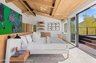 546 McSkimming Rd, Aspen, CO 81611 - Photo 18