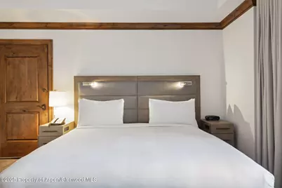415 E Dean St., Unit 25, Week 31, Aspen, CO 81611 - Photo 18