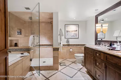 315 E Dean Street #B51, Aspen, CO 81611 - Photo 16