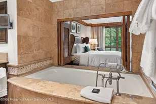 315 E Dean St, Aspen, CO 81611 - Photo 14