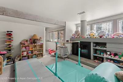 645 Sneaky Lane, Aspen, CO 81611 - Photo 20