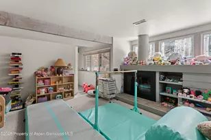 645 Sneaky Ln, Aspen, CO 81611 - Photo 20
