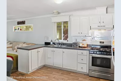 210 W Homestead Drive #12, Basalt, CO 81621 - Photo 4