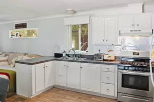 210 W Homestead Dr, Basalt, CO 81621 - Photo 4
