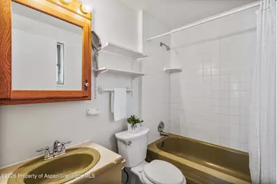 727 Euclid Avenue, Carbondale, CO 81623 - Photo 16