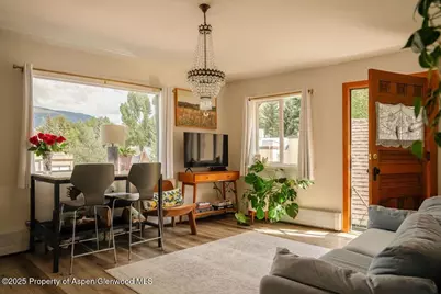 333 W Main Street #B2, Aspen, CO 81611 - Photo 4