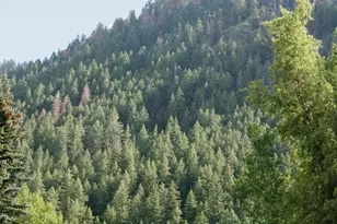 333 W Main St, Aspen, CO 81611 - Photo 26