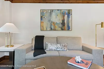 415 E Dean St., Unit 44B, Week 5, Aspen, CO 81611 - Photo 8