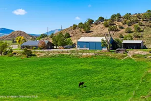 1073 Co Rd 260, Silt, CO 81652 - Photo 10