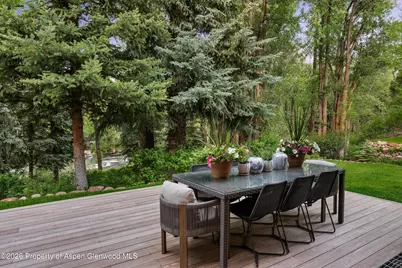 256 Twining Flats Road, Aspen, CO 81611 - Photo 22