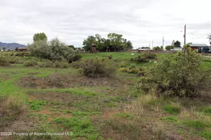 113 Fox Run Rd, Rifle, CO 81650 - Photo 14