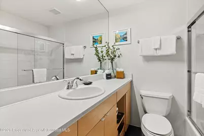 910 W Hallam Street #8, Aspen, CO 81611 - Photo 22