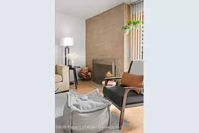 910 W Hallam Street #8, Aspen, CO 81611 - Photo 2