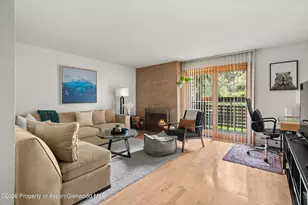 910 W Hallam St, Aspen, CO 81611 - Photo 6