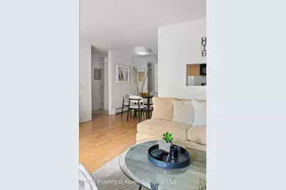 910 W Hallam Street #8, Aspen, CO 81611 - Photo 8