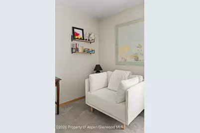 910 W Hallam Street #8, Aspen, CO 81611 - Photo 20