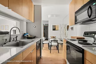 910 W Hallam St, Aspen, CO 81611 - Photo 14