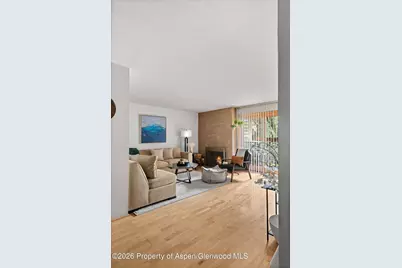 910 W Hallam Street #8, Aspen, CO 81611 - Photo 4