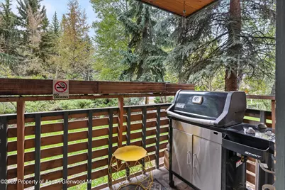 910 W Hallam Street #8, Aspen, CO 81611 - Photo 26