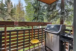 910 W Hallam St, Aspen, CO 81611 - Photo 26