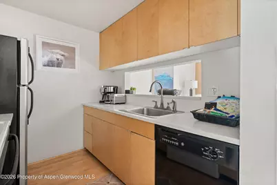 910 W Hallam Street #8, Aspen, CO 81611 - Photo 16