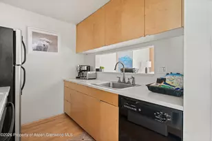 910 W Hallam St, Aspen, CO 81611 - Photo 16