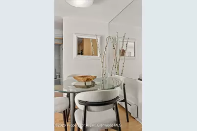 910 W Hallam Street #8, Aspen, CO 81611 - Photo 12