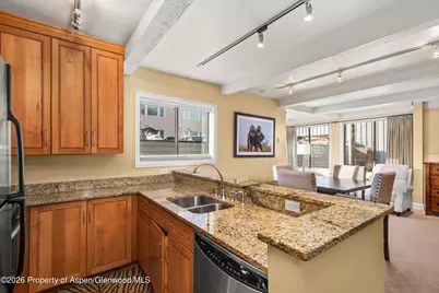 709 E Main Street #201, Aspen, CO 81611 - Photo 1