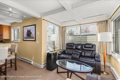 709 E Main Street #201, Aspen, CO 81611 - Photo 8